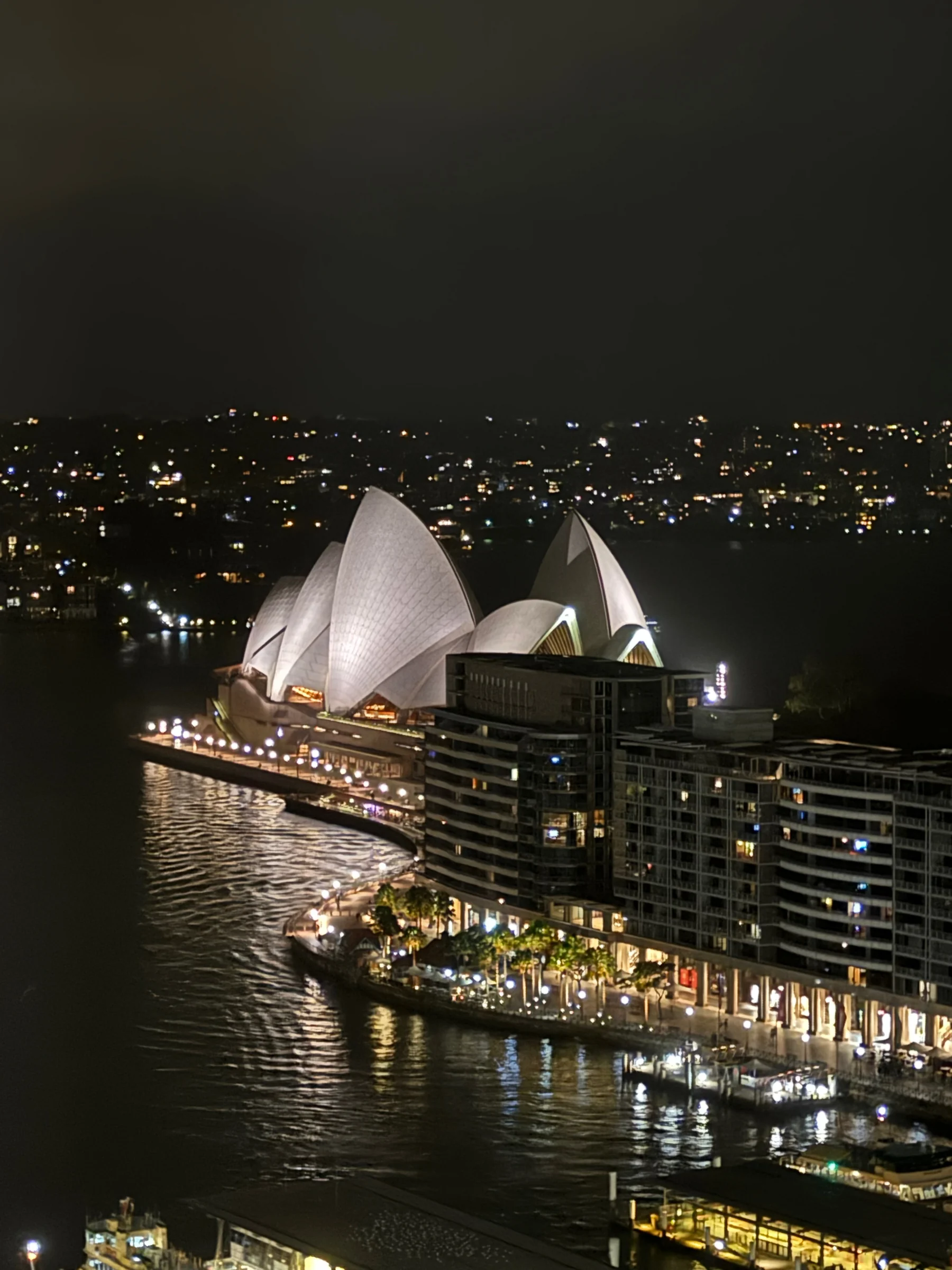 White roofs over the harbour at night.