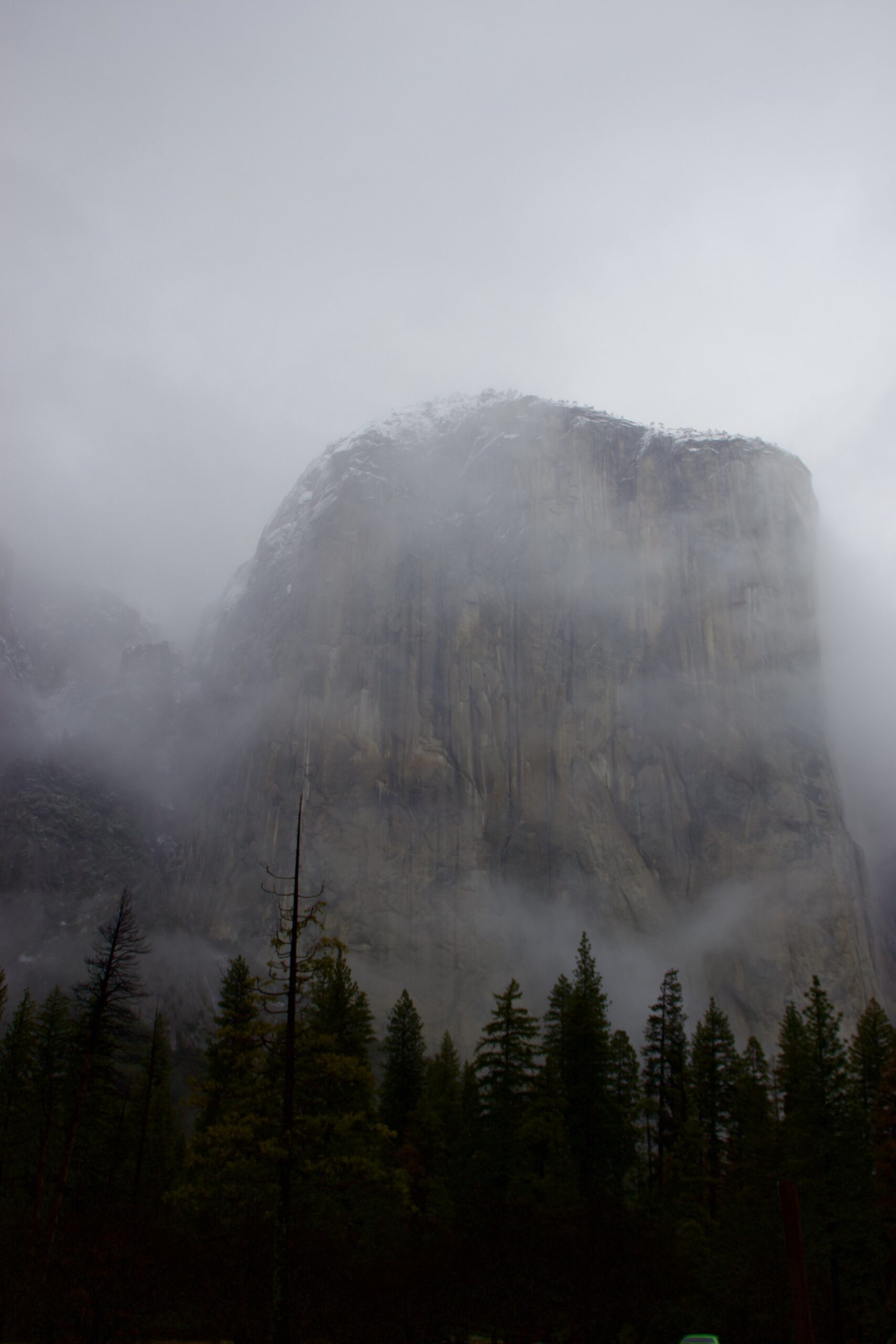  Yosemite国立公園にあるEl Capitan。 