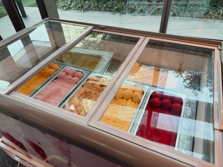 W蘇州朝食ビュッフェのアイスクリームコーナー