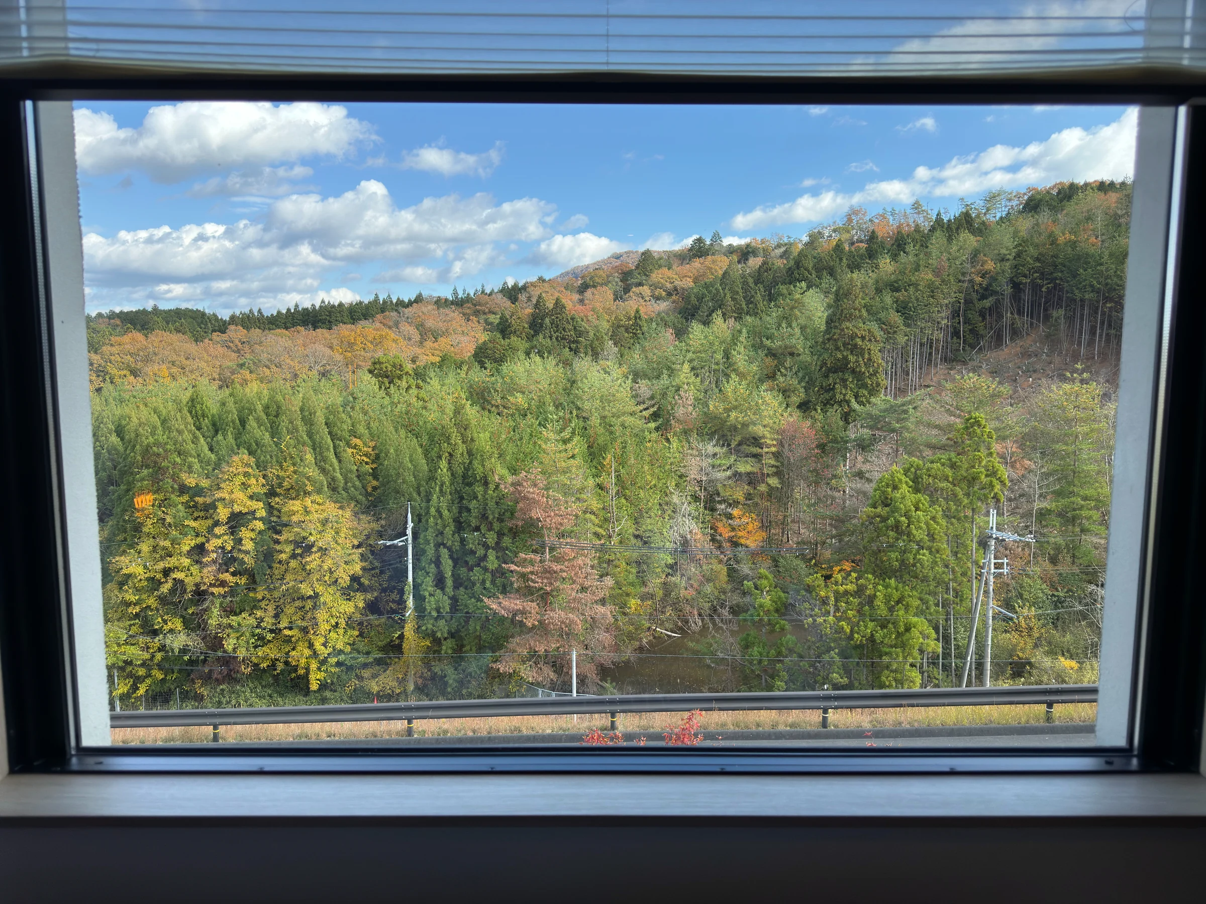 Hills and autumn colors from the room