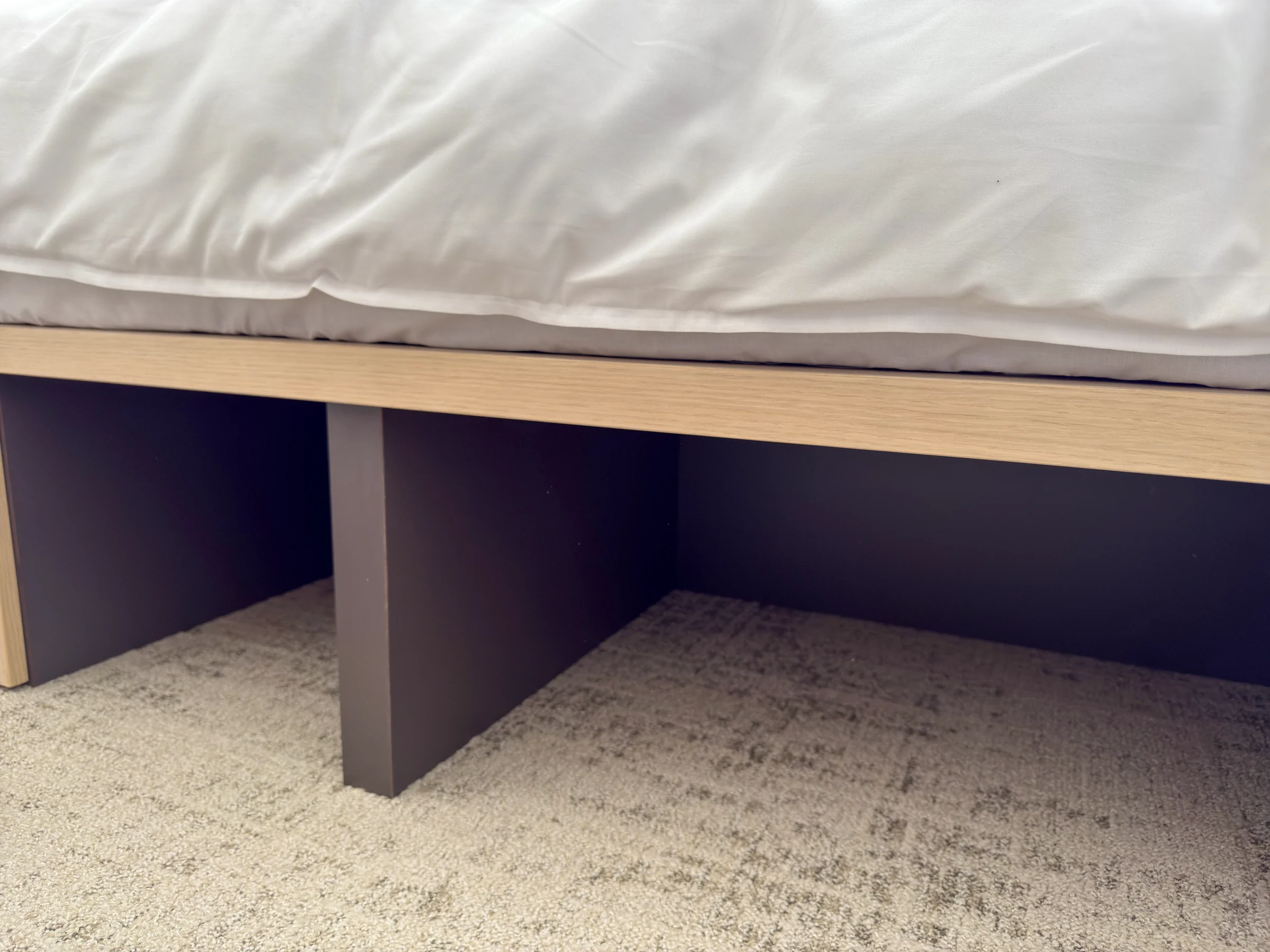 The under-bed storage I used for shoes.