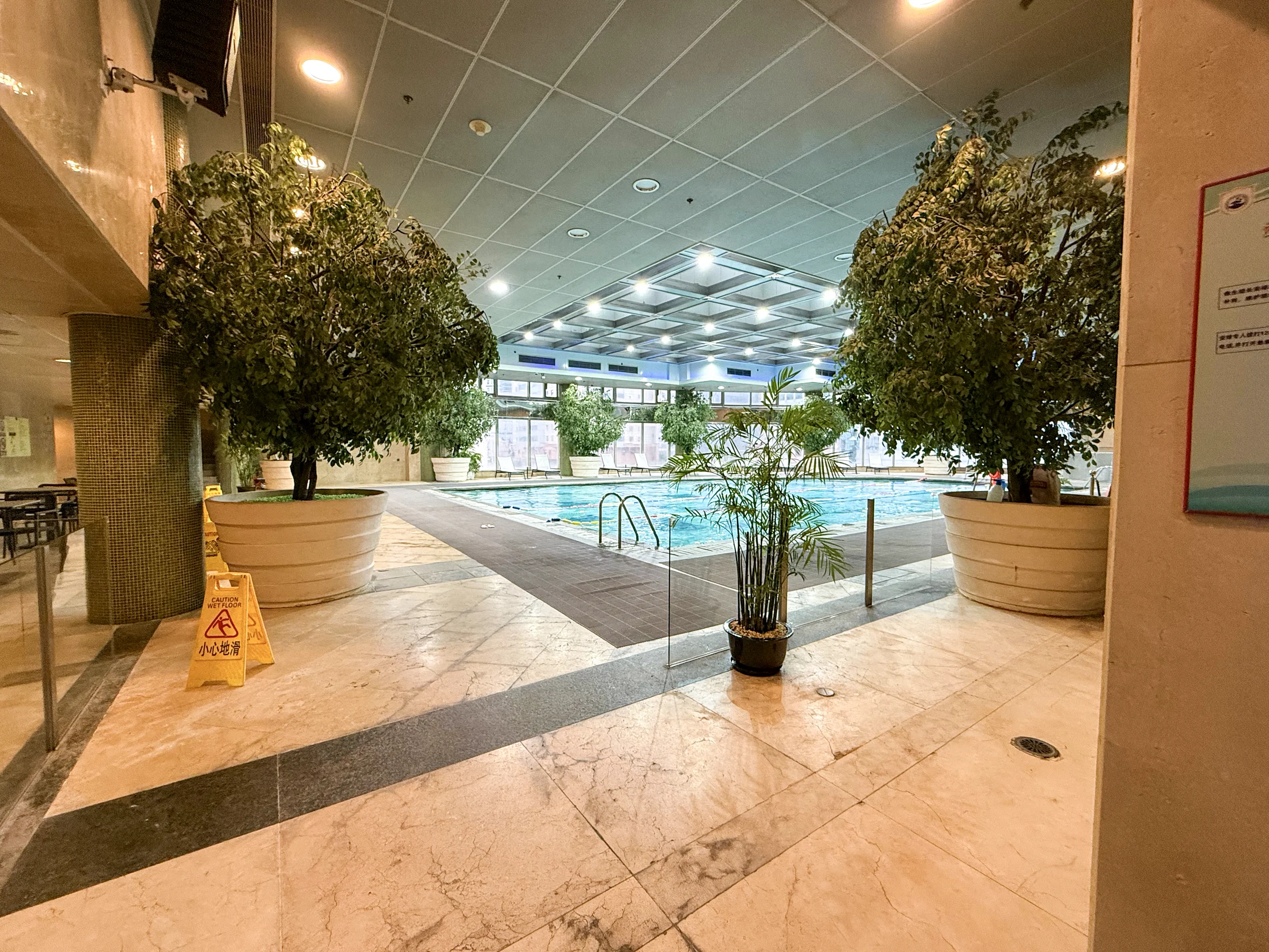 The indoor pool surrounded by large plants.