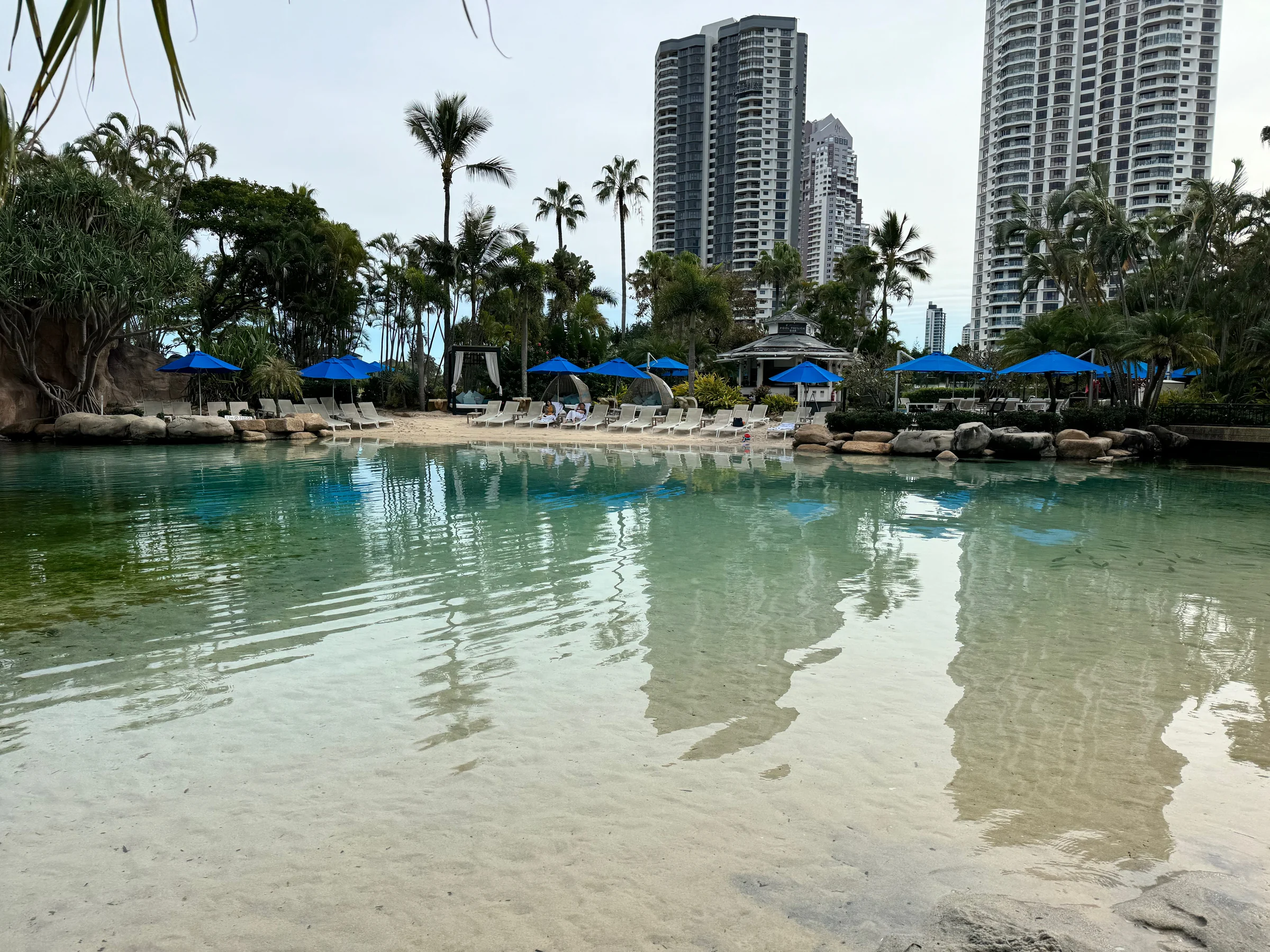 A lagoon surrounded by greenery and high-rise buildings.