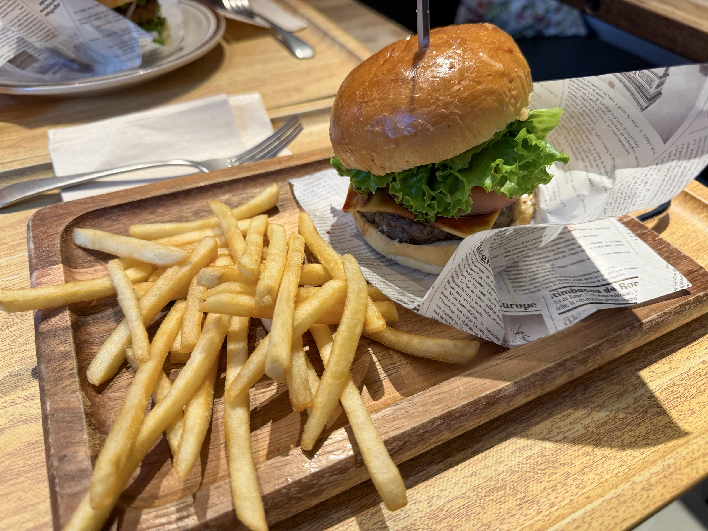 A burger and fries in the lounge.
