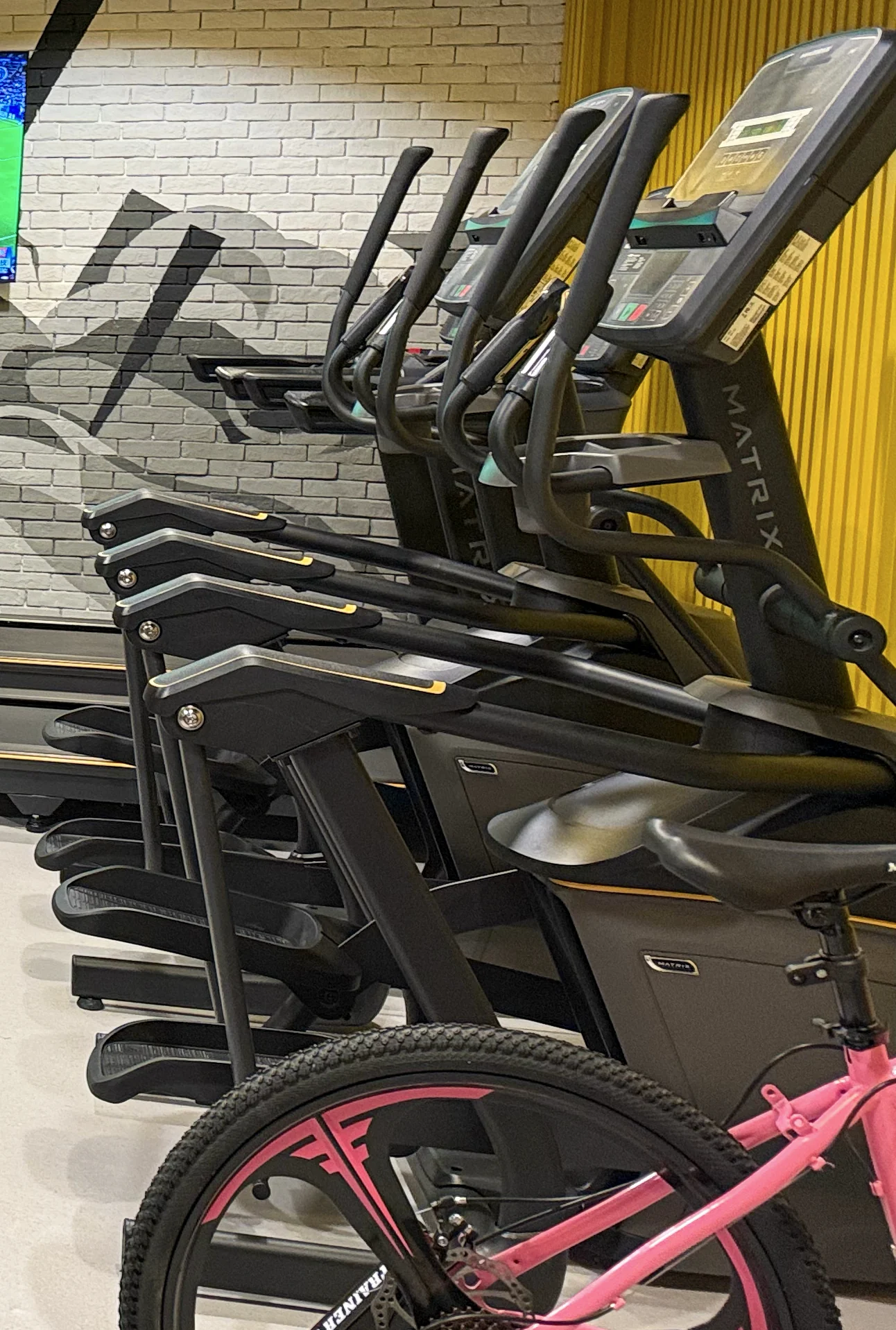 The basement fitness gym.