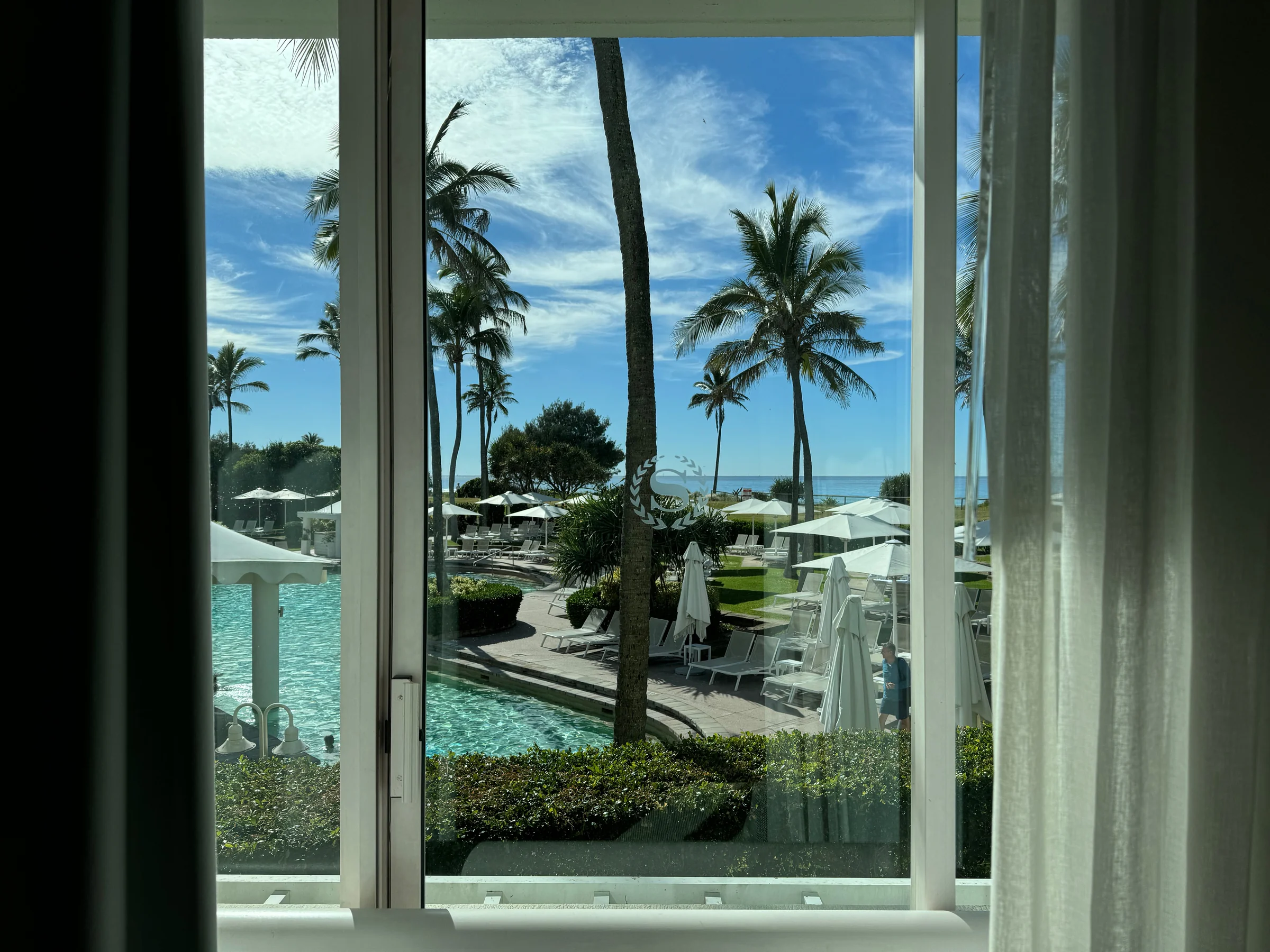 Palm trees and the pool from the room window the next morning.