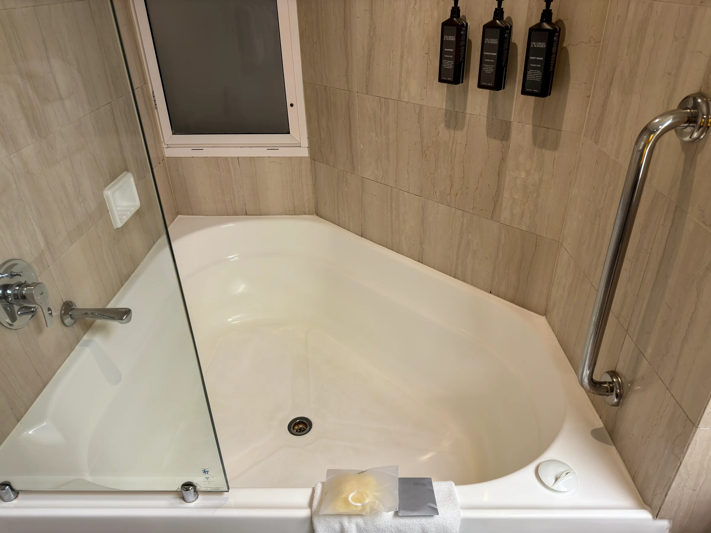 The bathtub and wall-mounted bath amenities.