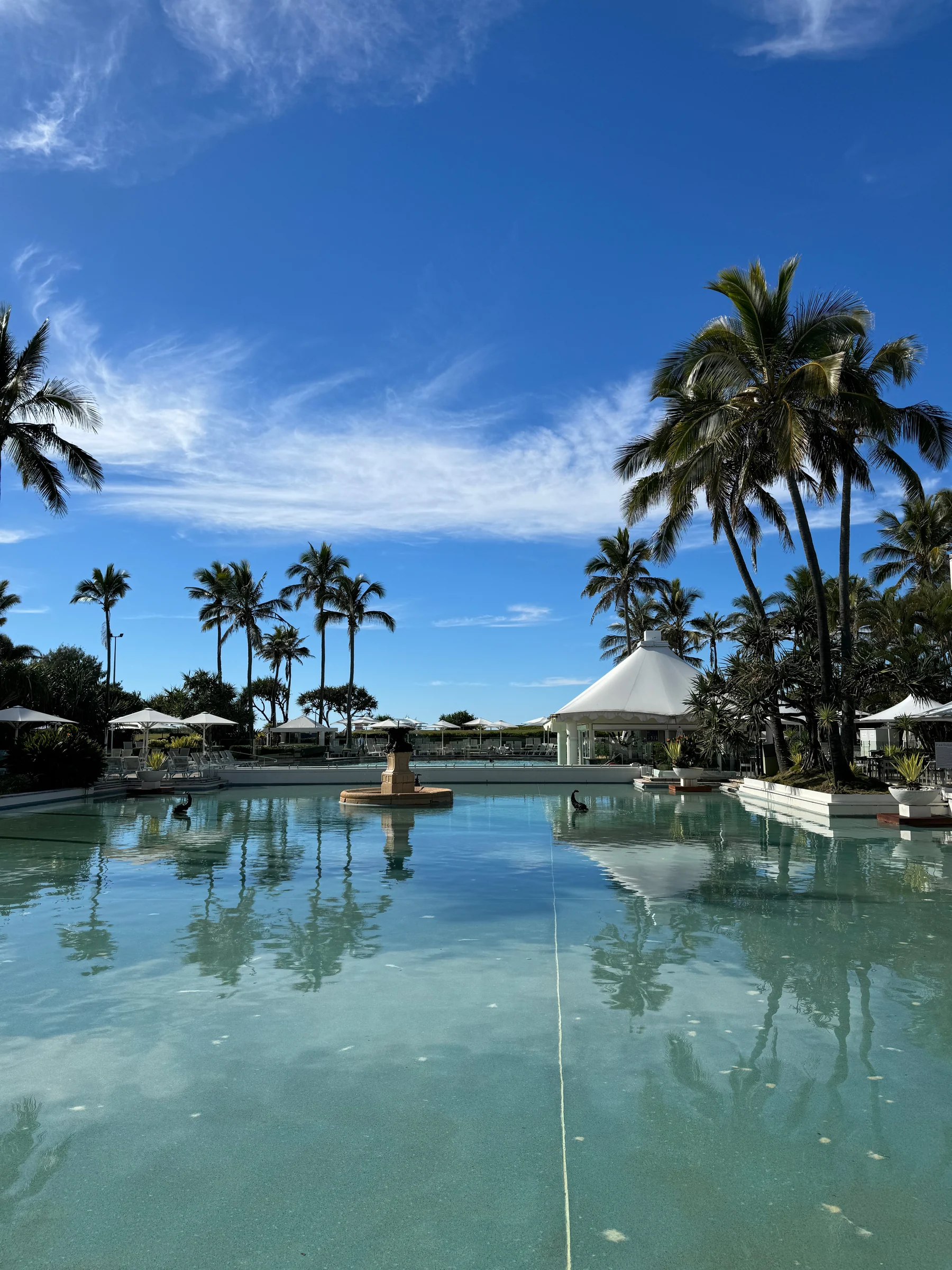 Palm trees and blue sky reflected on the water.