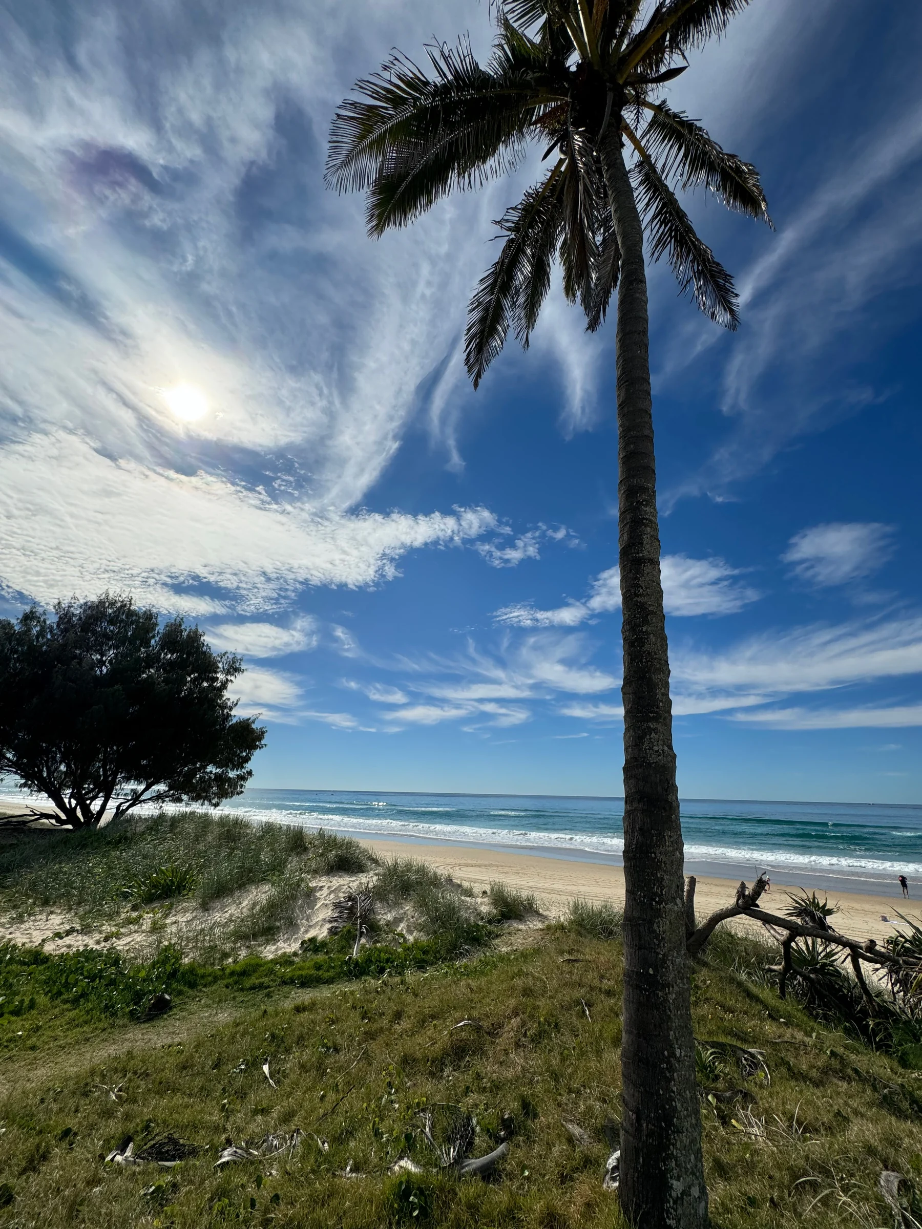Main Beach beyond the palm trees.