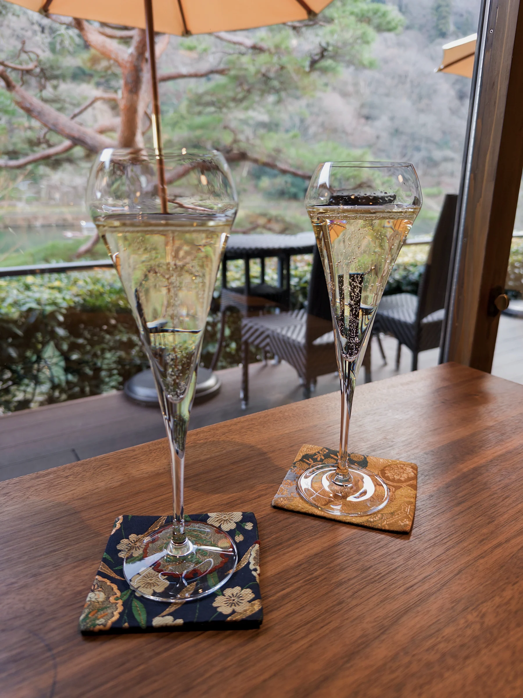 Glasses by a window overlooking the garden