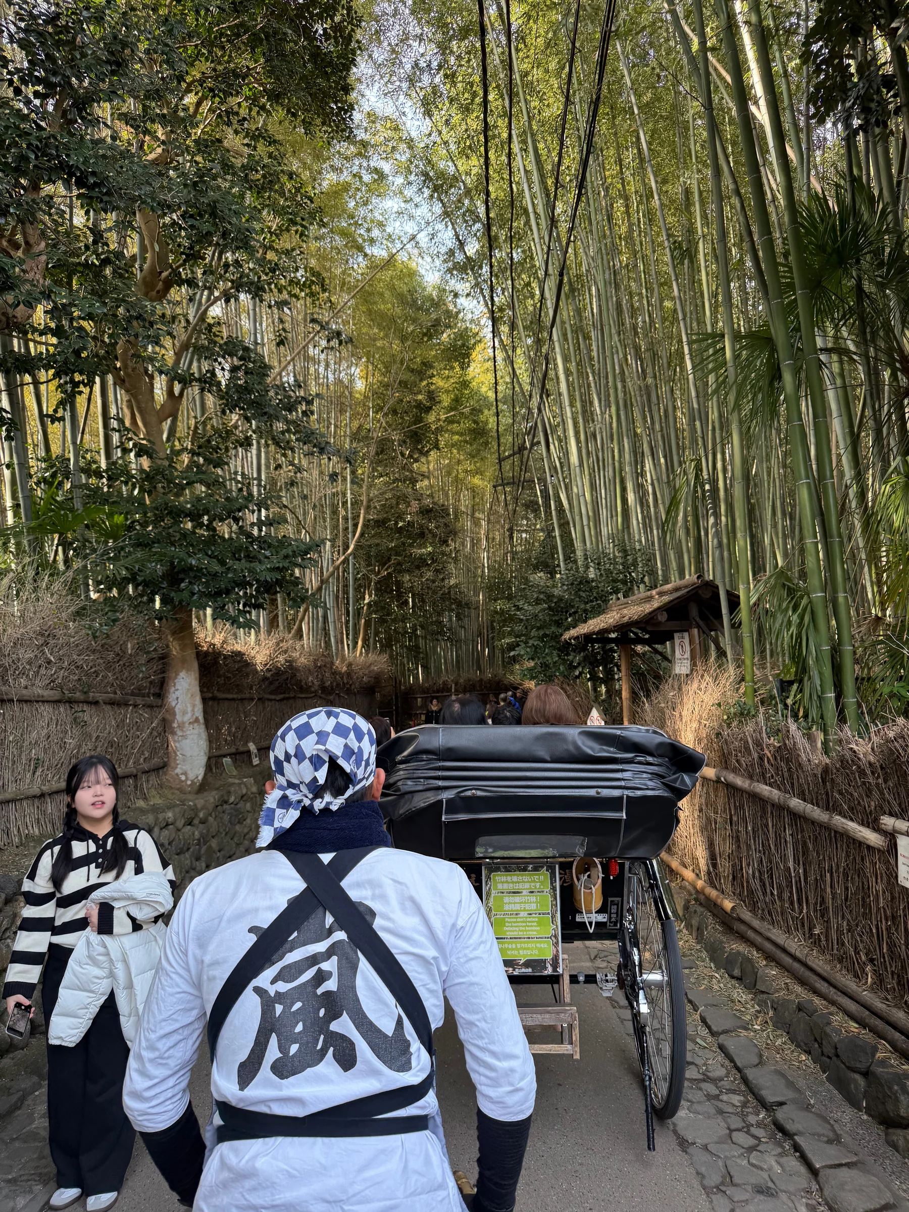 人力車に乗って竹林へ