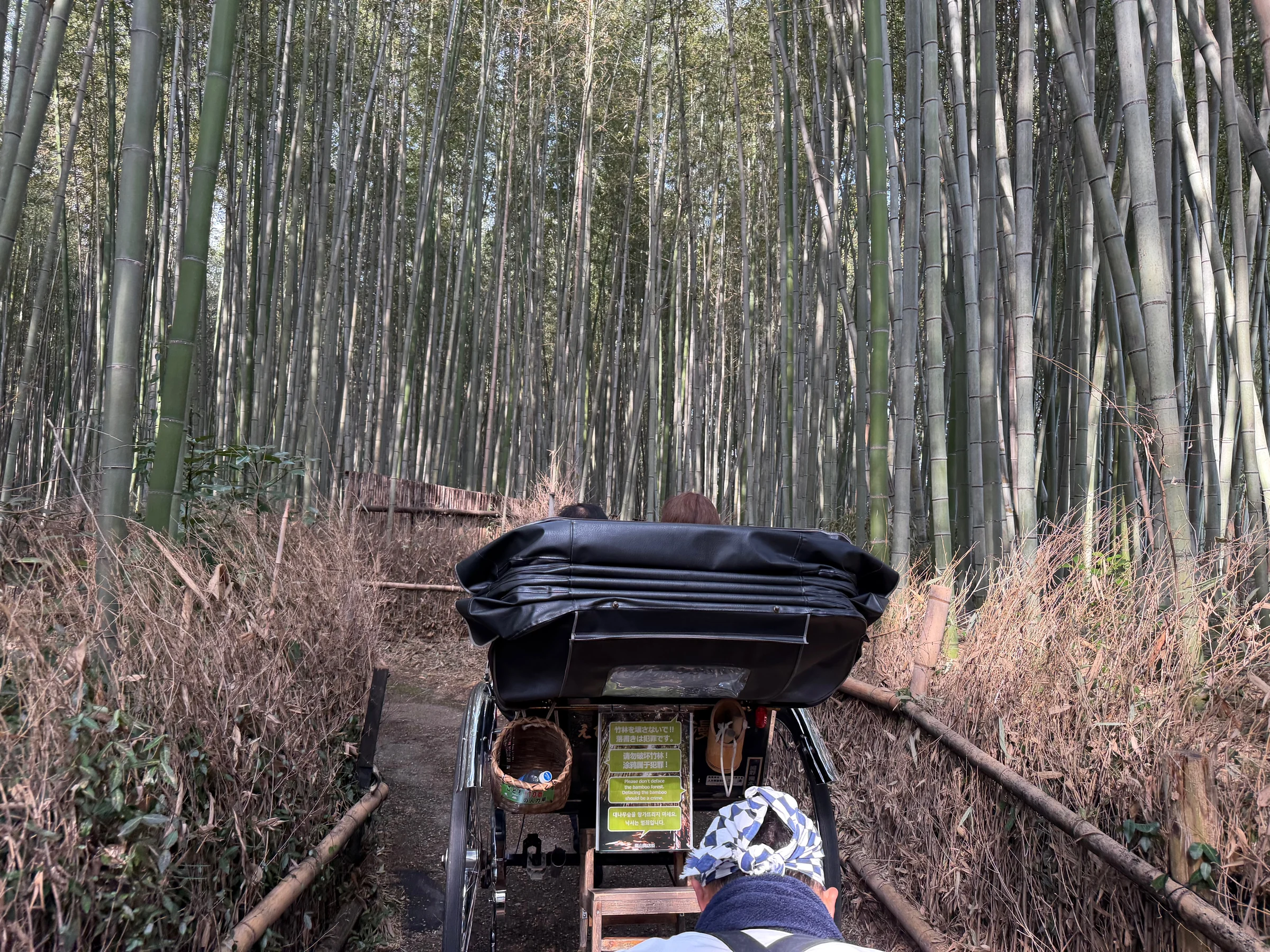 竹林の道を進む人力車