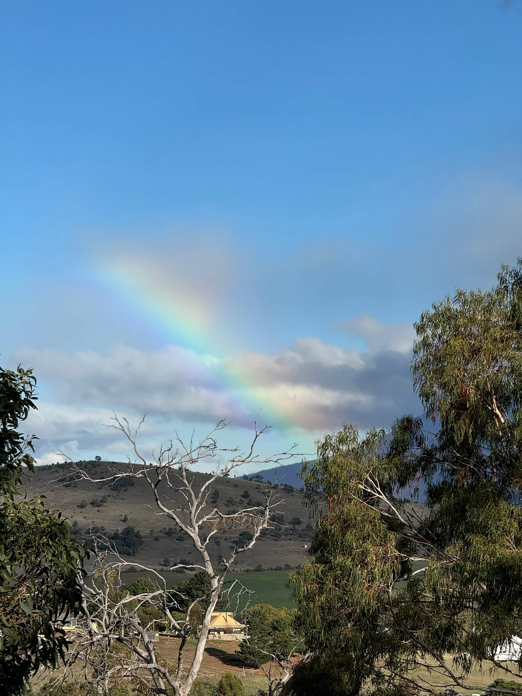 A rainbow while sightseeing.