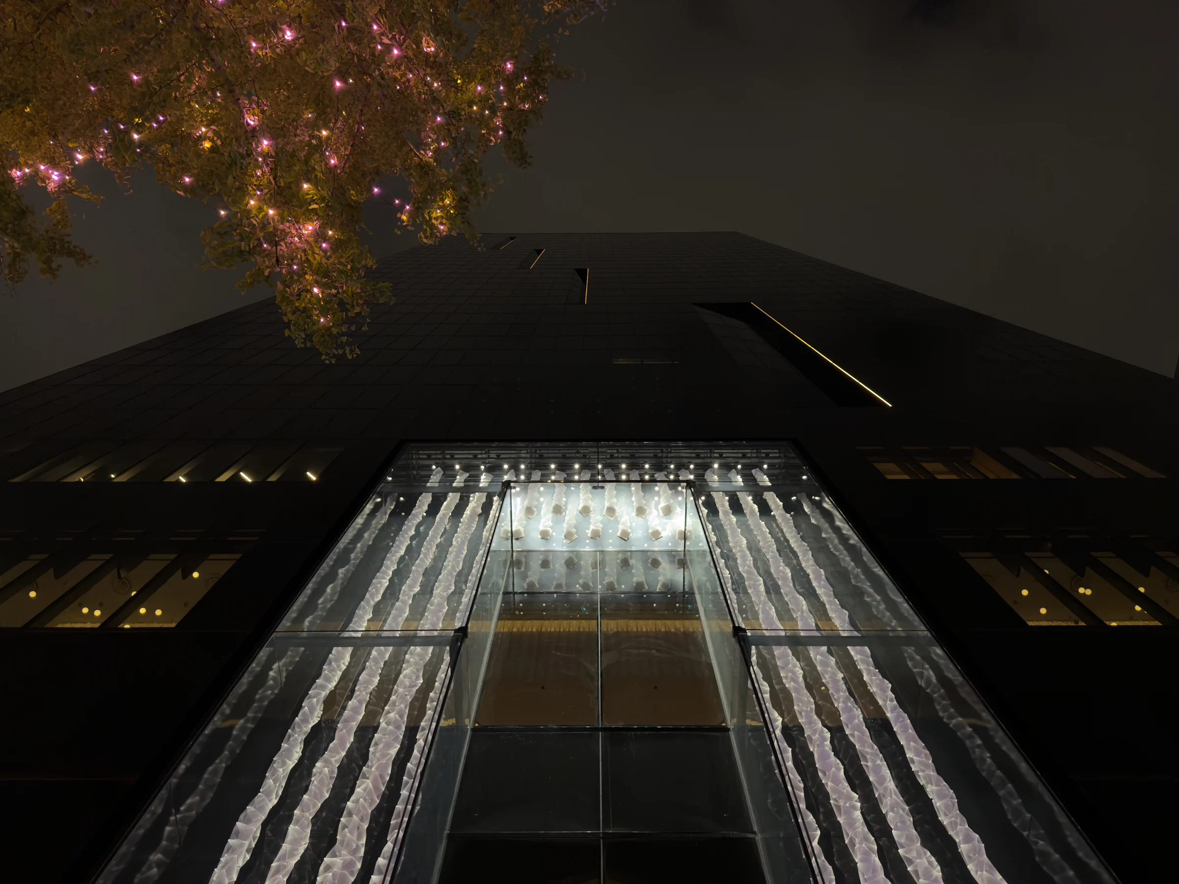 Looking up at the black facade at night