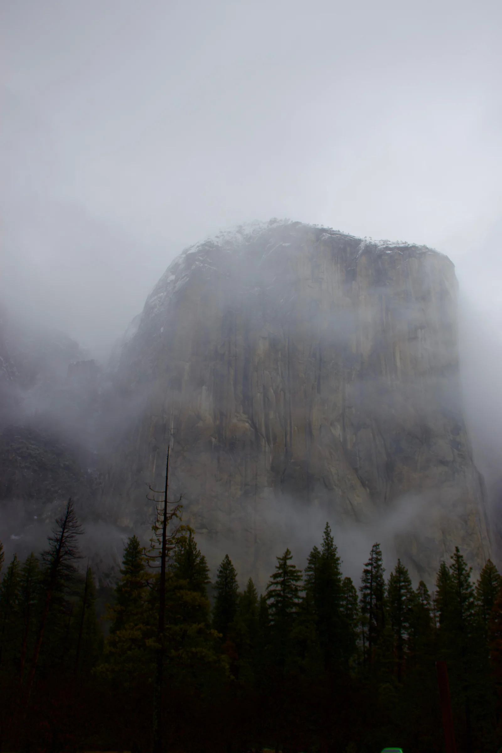 El Capitan wrapped in clouds.
