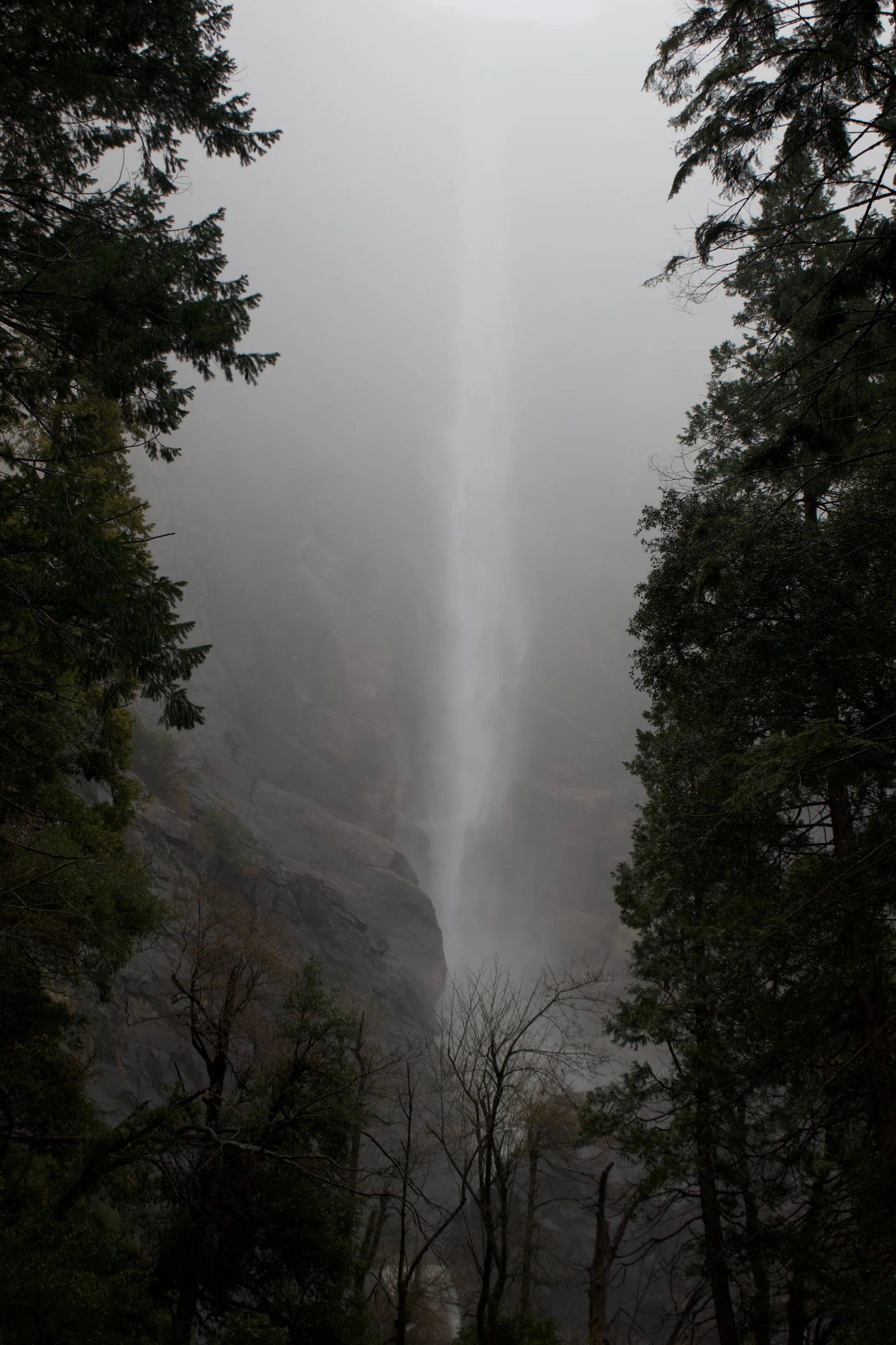 A waterfall beyond the trees.