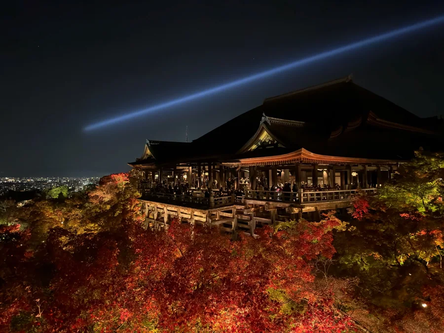 紅葉の赤とライトアップされた清水寺の夜景